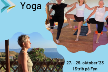Yoga – Qigong & Saunagus med bobler udsolgt og afholdt