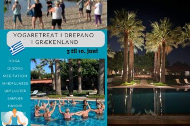 Marokko – et orientalsk strejf – Yoga og kultur oktober 2026 v. MindYourHeart